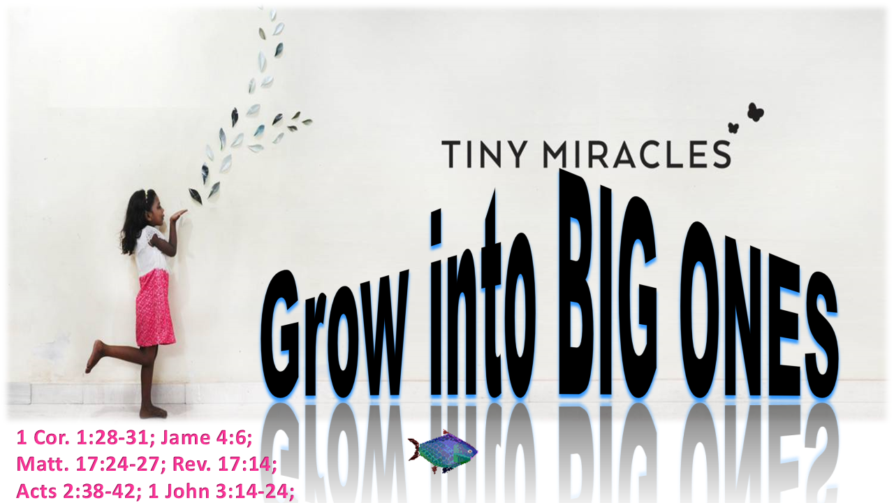 Tiny Miracles grow into bigger ONES