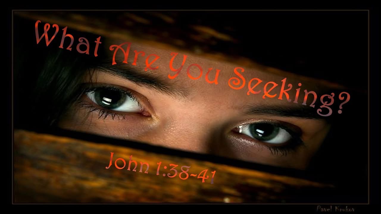 What Are You Seeking?