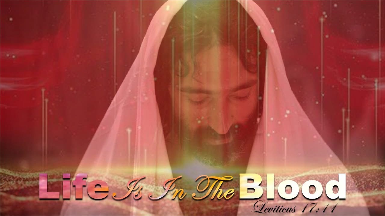 Life Is In The Blood