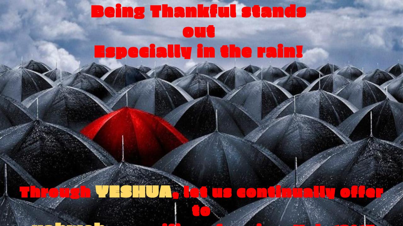 Being Thankful Stands Out